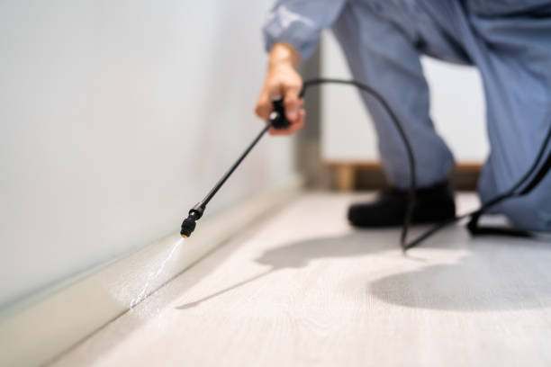 Bed Bug Pre-Treatment Preparation Assessment in Duvall