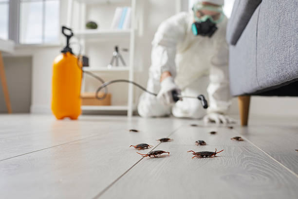 Post-Treatment Bed Bug Interceptor Monitoring in Duvall